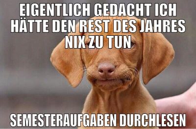 eigentlich gedacht ich hätte den rest des jahres n