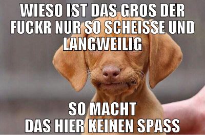 wieso ist das gros der fuckr nur so scheiße und la