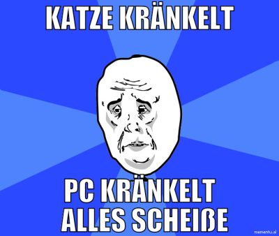 katze kränkelt pc kränkelt   alles scheiße