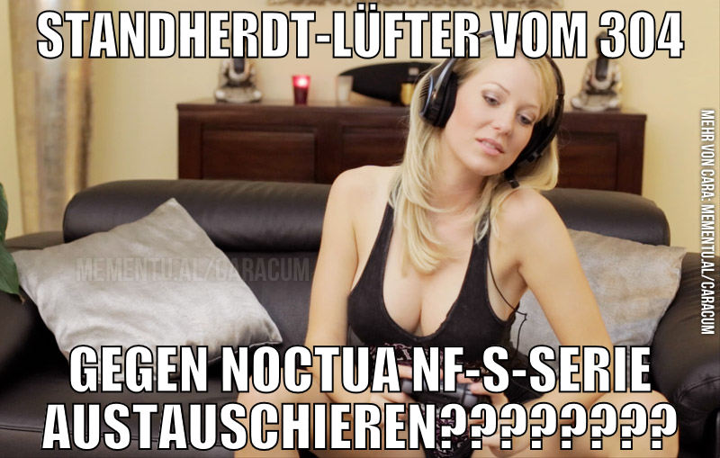 STANDHERDT-LÜFTER VOM 304 GEGEN NOCTUA NF-S-Serie