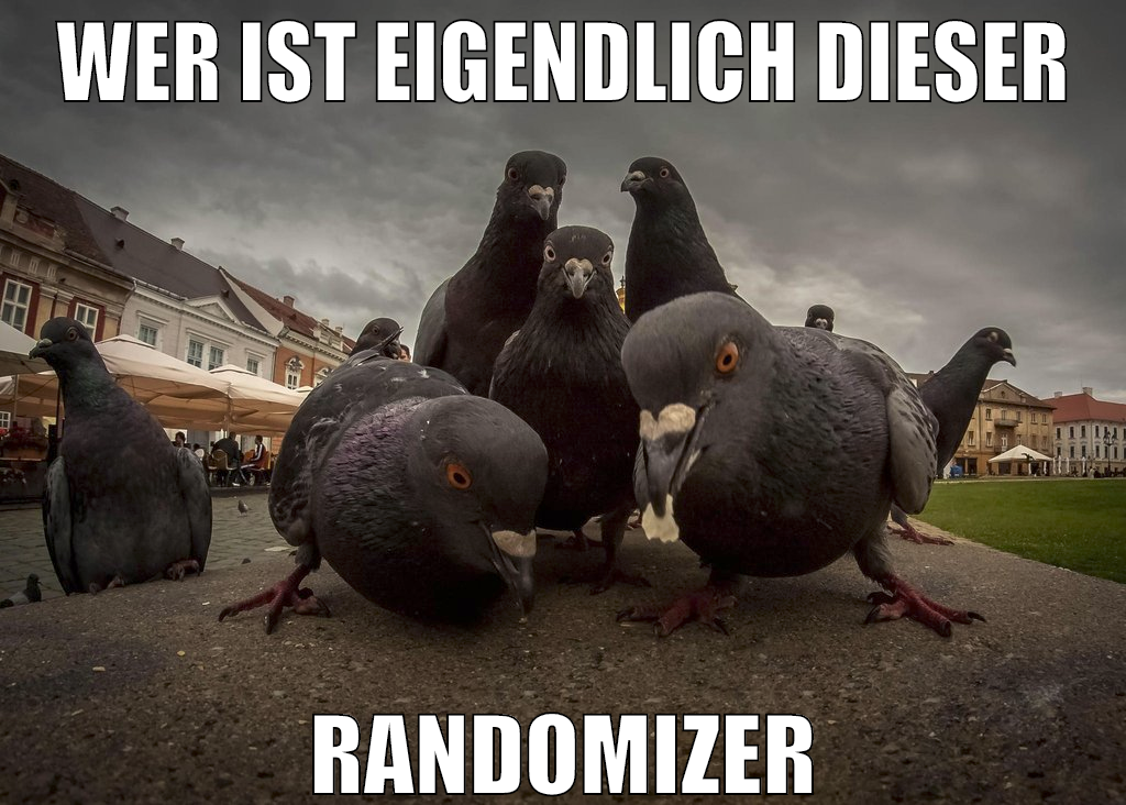 wer ist eigendlich dieser randomizer