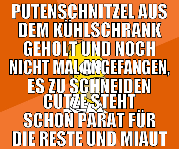putenschnitzel aus dem kühlschrank geholt und noch