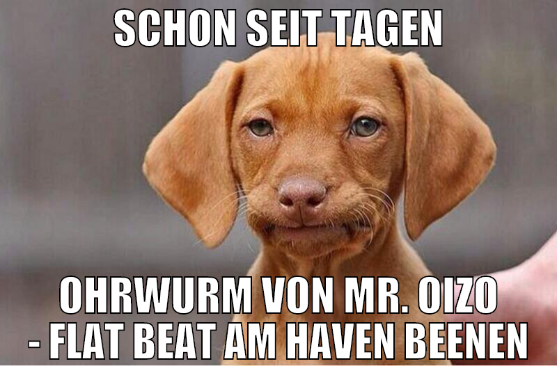 Schon seit Tagen Ohrwurm von Mr. Oizo - Flat Beat