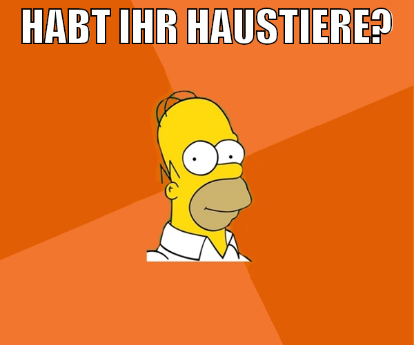 habt ihr haustiere?