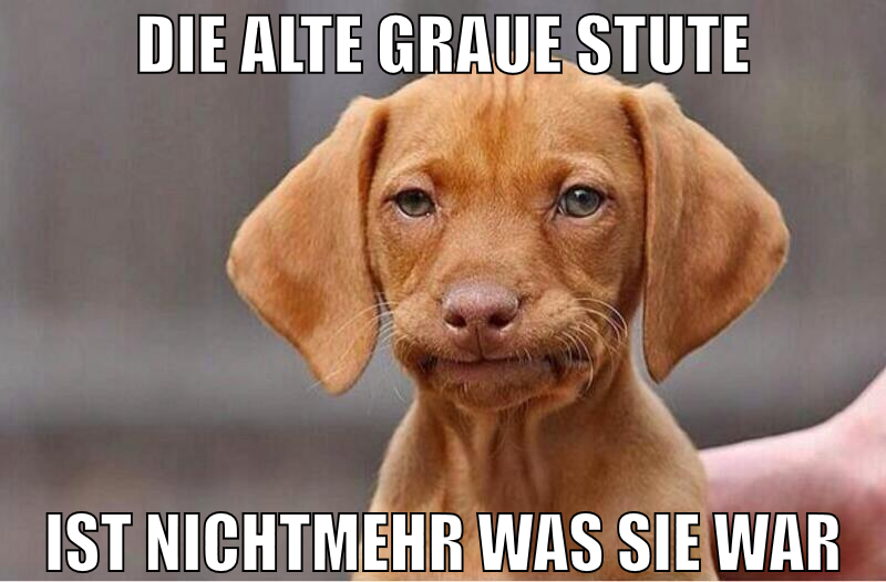 die alte graue stute ist nichtmehr was sie war