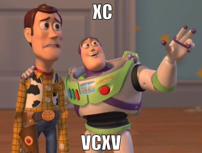 xc vcxv