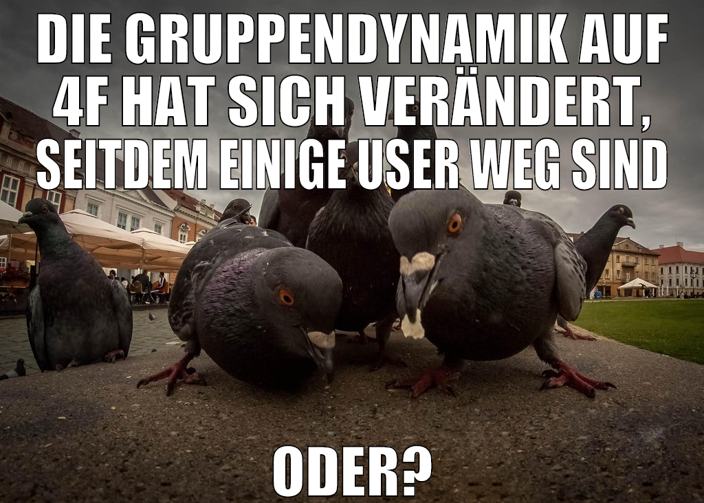die gruppendynamik auf 4f hat sich verändert, seit