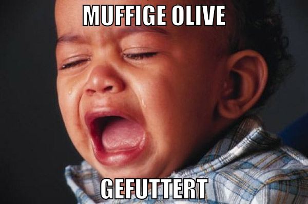 Muffige Olive gefuttert