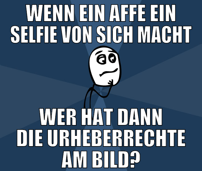 wenn ein affe ein selfie von sich macht wer hat da