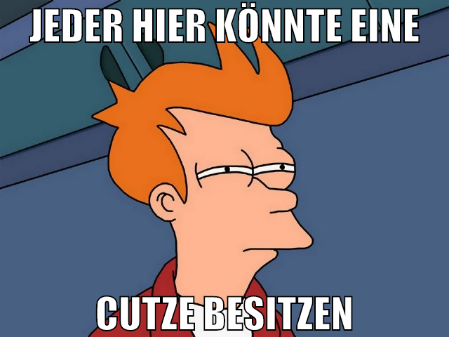 jeder hier könnte eine cutze besitzen