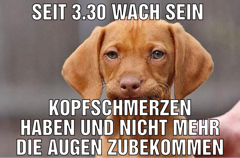 Wach
