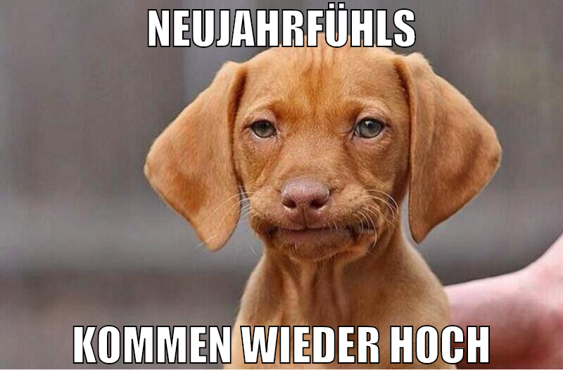 neujahrfühls kommen wieder hoch