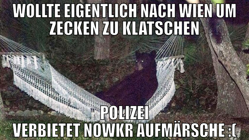 Wollte eigentlich nach Wien um zecken zu klatschen
