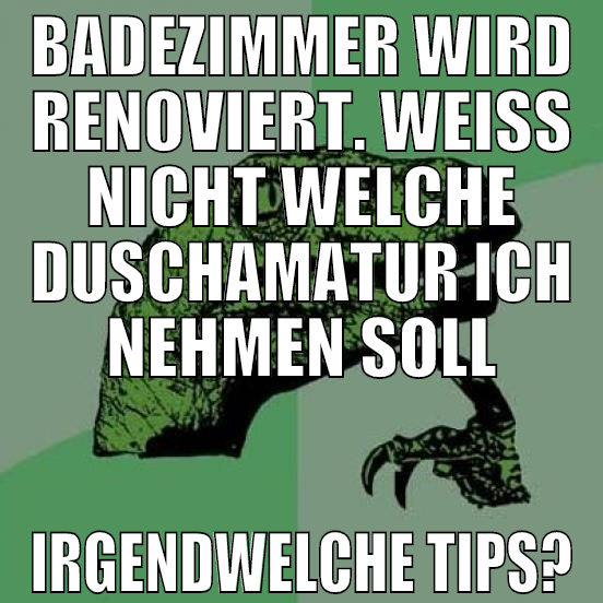 badezimmer wird renoviert. weiß nicht welche dusch