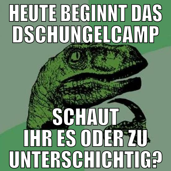 heute beginnt das dschungelcamp schaut ihr es oder