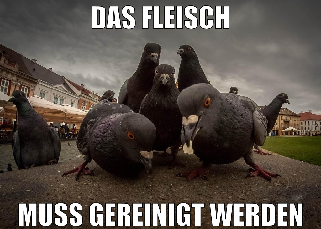 das fleisch muss gereinigt werden