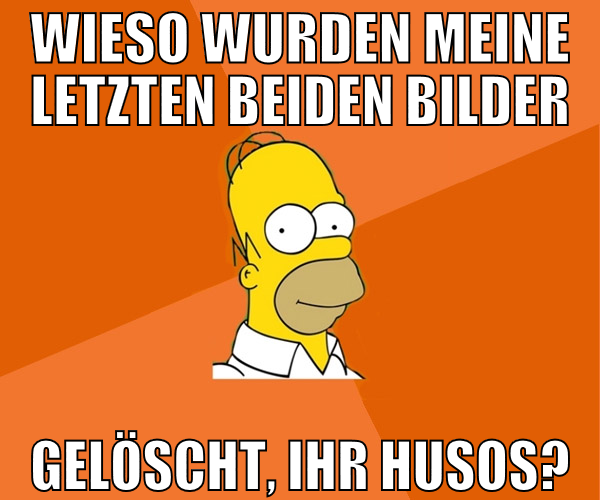 wieso wurden meine letzten beiden bilder gelöscht,