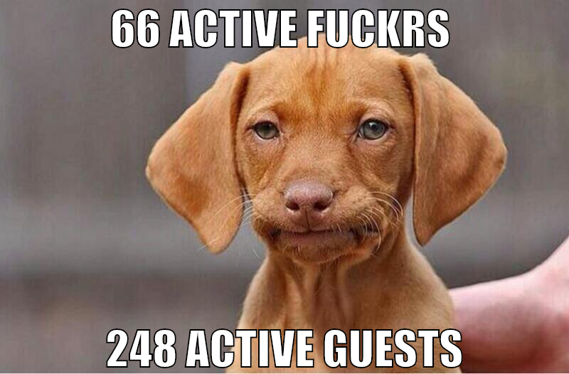 66 active fuckrs  248 active guests