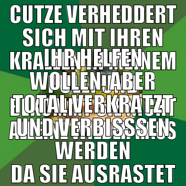 cutze verheddert sich mit ihren krallen in meinem