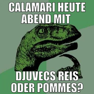 calamari heute abend mit  djuvecs reis oder pommes