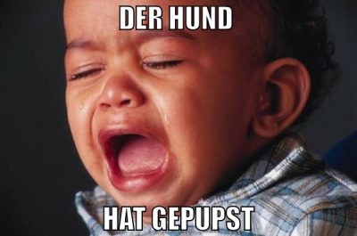 der hund  hat gepupst