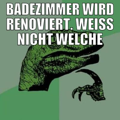 badezimmer wird renoviert. weiß nicht welche dusch