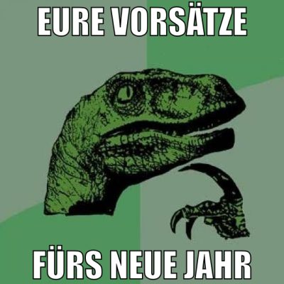 eure Vorsätze fürs neue Jahr