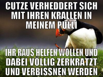 cutze verheddert sich mit ihren krallen in meinem
