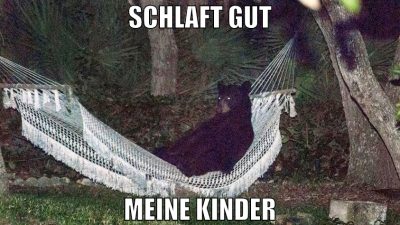 schlaft gut meine kinder