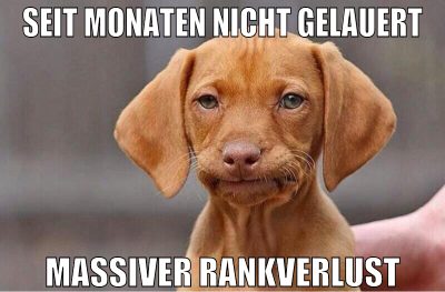 seit monaten nicht gelauert massiver rankverlust