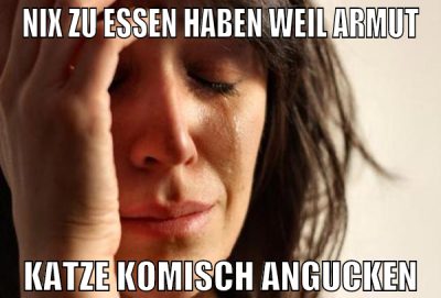 nix zu essen haben weil armut katze komisch anguck