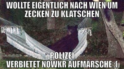 Wollte eigentlich nach Wien um zecken zu klatschen