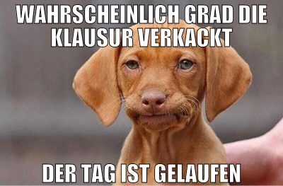 wahrscheinlich grad die klausur verkackt der tag i