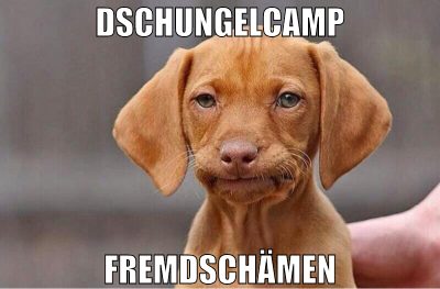 Dschungelcamp Fremdschämen