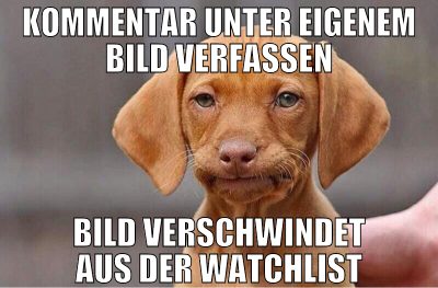 Kommentar unter eigenem Bild verfassen Bild versch