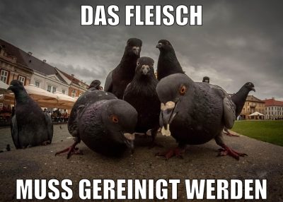 das fleisch muss gereinigt werden
