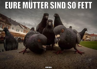 eure mütter sind so fett ....