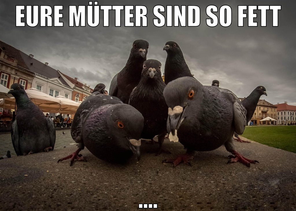 eure mütter sind so fett ....