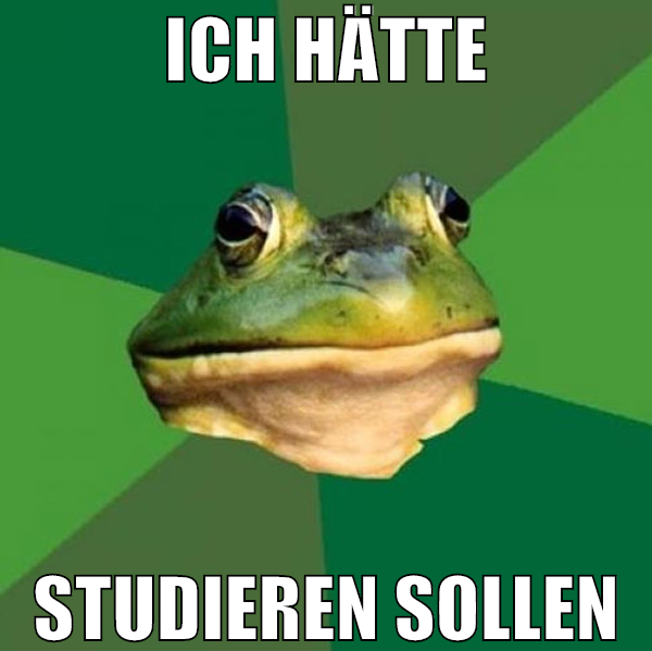 ich hätte studieren sollen
