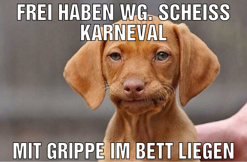 frei haben wg. scheiss karneval mit grippe im bett