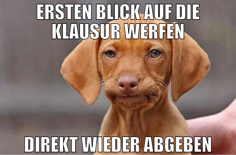ERSTEN BLICK AUF DIE KLAUSUR WERFEN DIREKT WIEDER