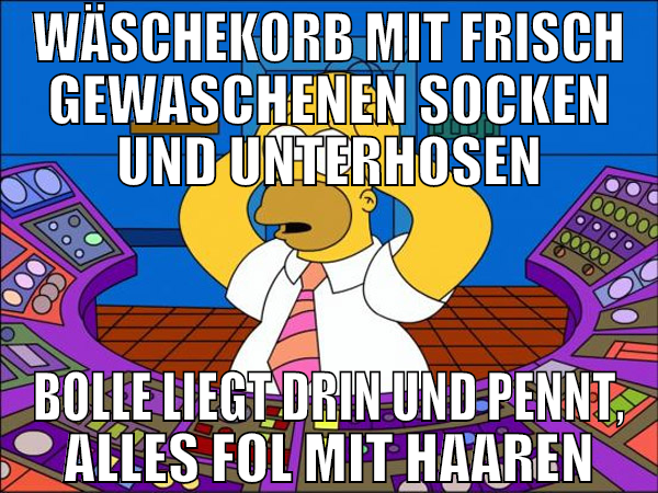 wäschekorb mit frisch gewaschenen socken und unter