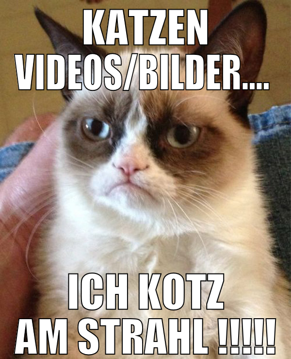 Katzen Videos/Bilder....  ich kotz am Strahl !!!!!