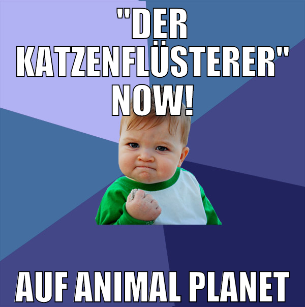 "Der Katzenflüsterer" now! auf Animal Planet