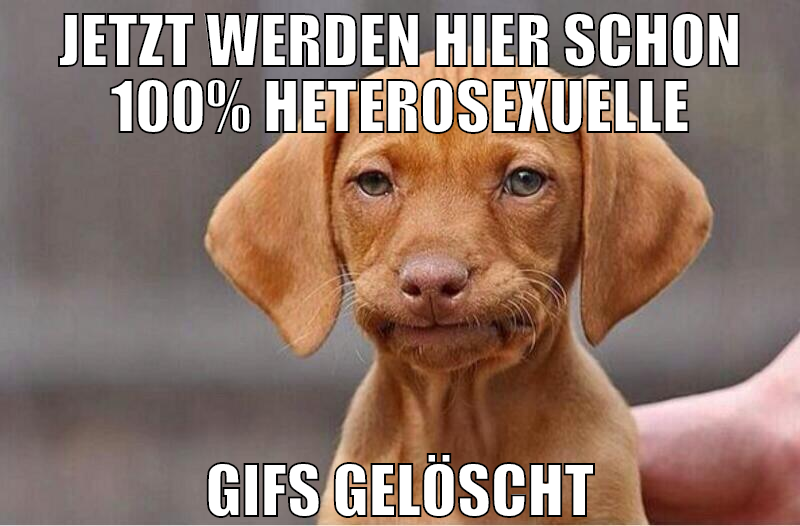 jetzt werden hier schon 100% heterosexuelle gifs g