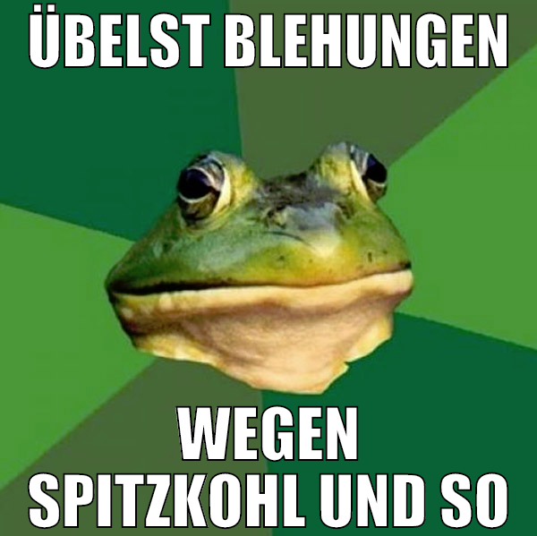 übelst blehungen wegen spitzkohl und so