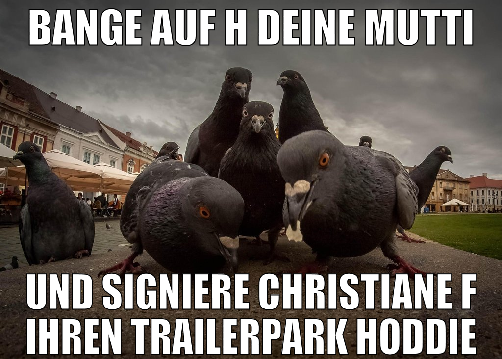 bange auf h deine mutti und signiere christiane f