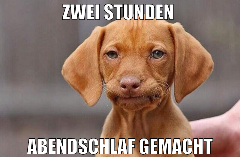 zwei stunden  abendschlaf gemacht