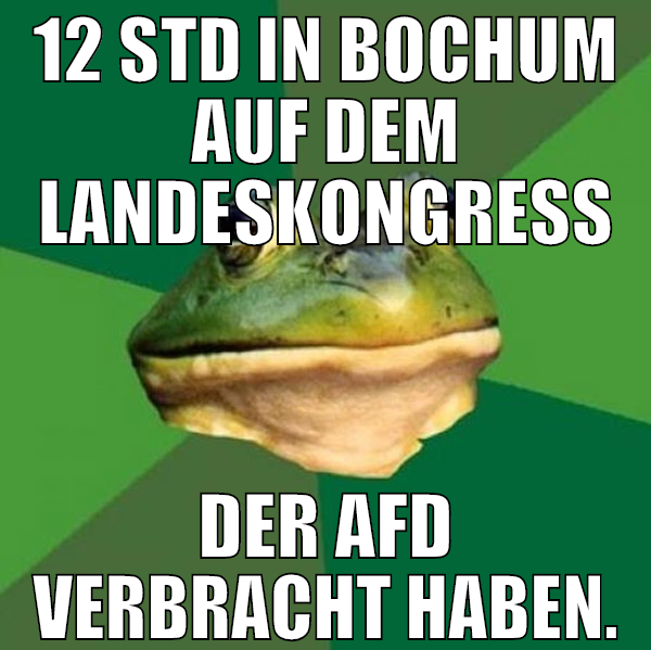 12 std in bochum auf dem landeskongress der afd ve