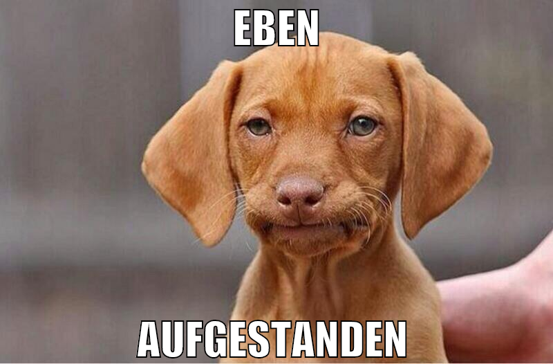 eben aufgestanden